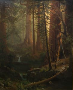 Giant Redwood Trees of California, painting by Albert Bierstadt